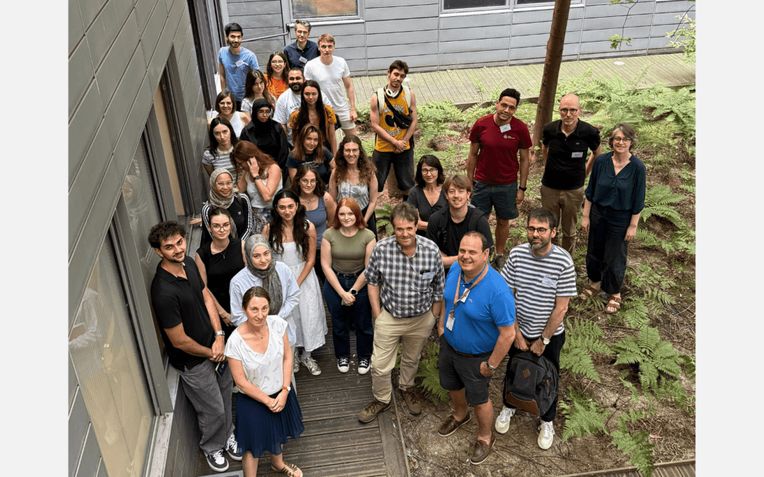 “Frontiers in Genome Stability and Dynamics” : retour sur l’école d’été au cœur des 3R